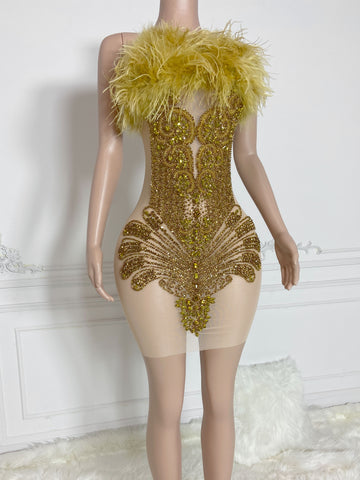 Rose Radiance - Custom Rhinestone Appliqué Birthday Dress with Ostrich Feather Glam Rose Radiance - Custom Rhinestone Appliqué Birthday Dress with Ostrich Feather Glam