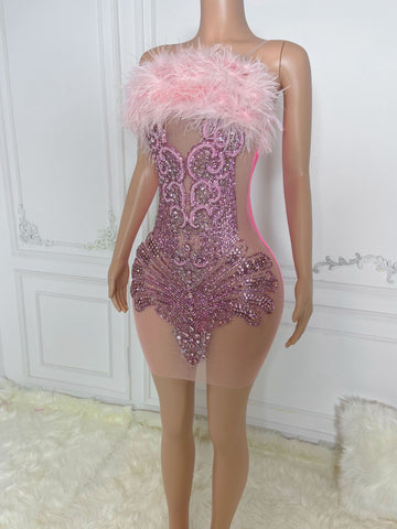 Rose Radiance - Custom Rhinestone Appliqué Birthday Dress with Ostrich Feather Glam Rose Radiance - Custom Rhinestone Appliqué Birthday Dress with Ostrich Feather Glam