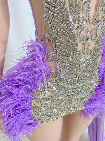 Sensual Opulence - Sheer Cocktail Gowns with Crystals, Feathered Mini Delight Sensual Opulence - Sheer Cocktail Gowns with Crystals, Feathered Mini Delight