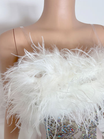 Rose Radiance - Custom Rhinestone Appliqué Birthday Dress with Ostrich Feather Glam Rose Radiance - Custom Rhinestone Appliqué Birthday Dress with Ostrich Feather Glam