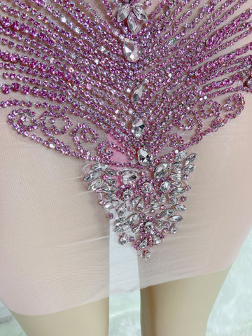Rose Radiance - Custom Rhinestone Appliqué Birthday Dress with Ostrich Feather Glam Rose Radiance - Custom Rhinestone Appliqué Birthday Dress with Ostrich Feather Glam