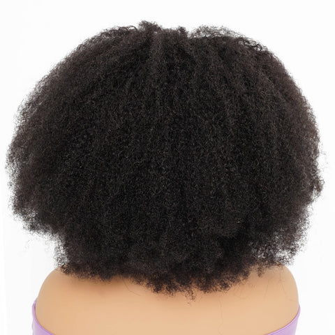 Density Afro Kinky Curly Lace Front Wig - Indian Remy Density Afro Kinky Curly Lace Front Wig - Indian Remy
