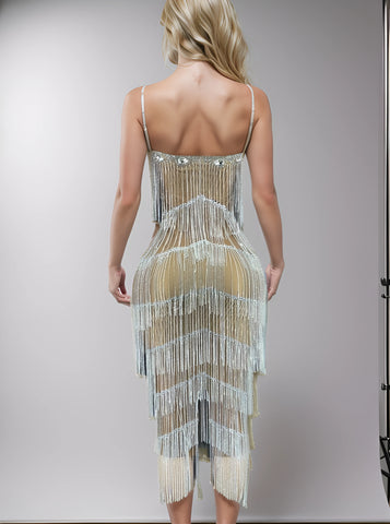 Silver Rhinestone Fringe Tube Dress - Perfect for Evening, Prom, and Birthday Parties Silver Rhinestone Fringe Tube Dress - Perfect for Evening, Prom, and Birthday Parties