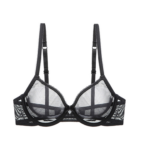 Sexy Plus Size Mesh Lace Bra and Panty Set - Unlined and Sheer Sexy Plus Size Mesh Lace Bra and Panty Set - Unlined and Sheer
