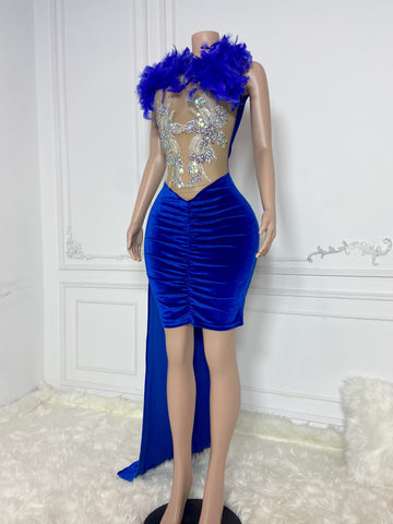 Feathered Opulence - Homecoming, Birthday, Wedding, Prom, Evening, Carpet, Formal Event Dress