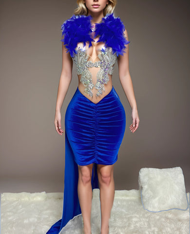 Feathered Opulence - Homecoming, Birthday, Wedding, Prom, Evening, Carpet, Formal Event Dress